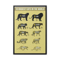 10 Biggest Cats in the World Poster, Big Cat Size Comparison Chart, Tiger Lion Leopard Wildlife Educational Canvas Print