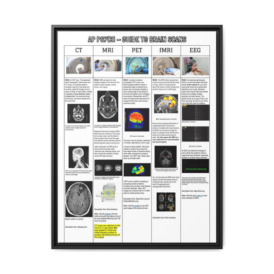 AP Psychology Brain Scans Poster, CT MRI PET fMRI EEG Comparison Chart, Medical Imaging Educational Canvas Print