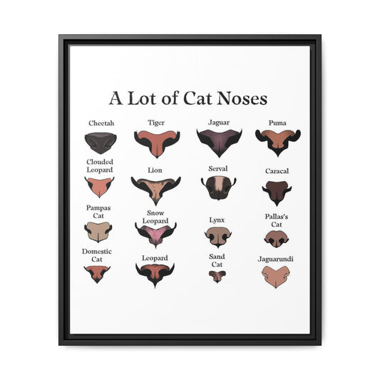 A Lot of Cat Noses Poster, Wild and Domestic Cat Nose Identification Chart, Feline Nose Comparison Guide Educational Canvas Print