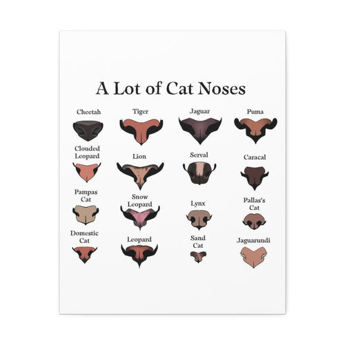 A Lot of Cat Noses Poster, Wild and Domestic Cat Nose Identification Chart, Feline Nose Comparison Guide Educational Canvas Print