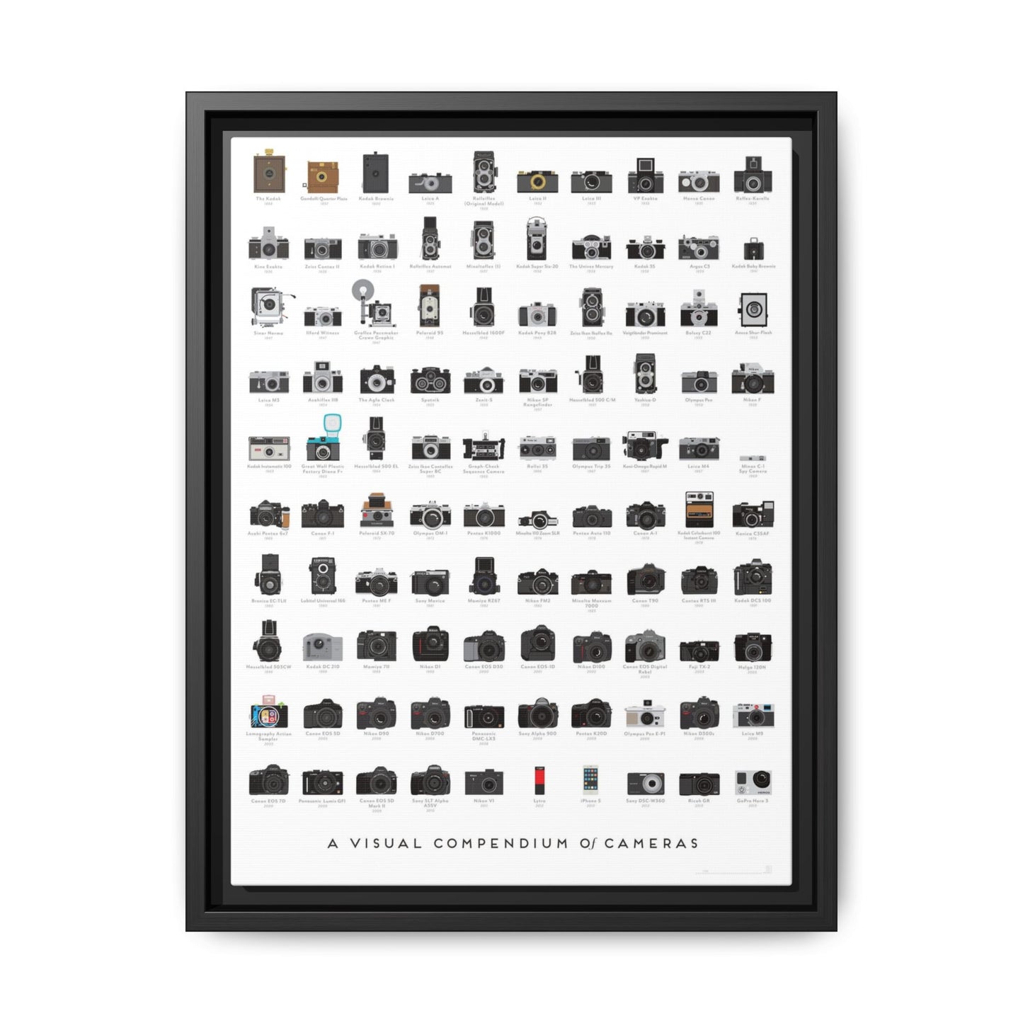 A Visual Compendium Of Cameras Poster, Camera History Guide Vertical Poster