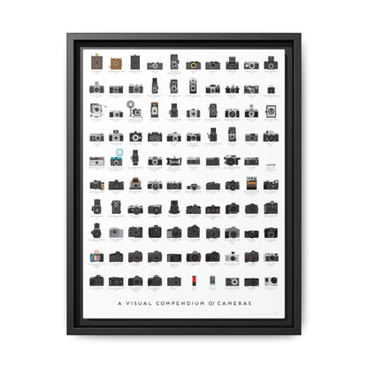 A Visual Compendium Of Cameras Poster, Camera History Guide Vertical Poster