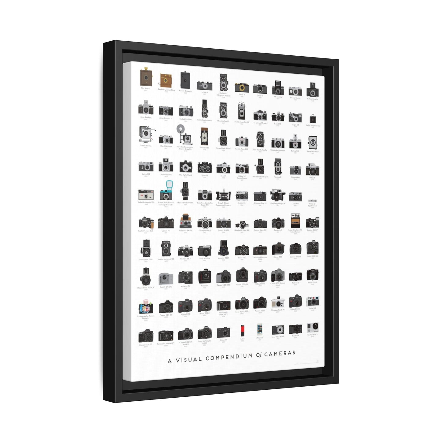 A Visual Compendium Of Cameras Poster, Camera History Guide Vertical Poster