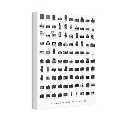 A Visual Compendium Of Cameras Poster, Camera History Guide Vertical Poster