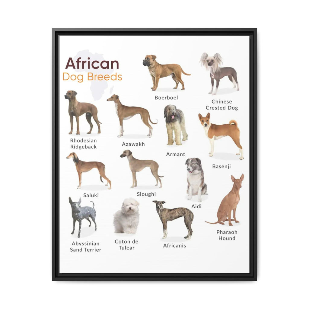 African Dog Breeds Identification Chart Poster and Canvas