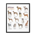 African Dog Breeds Identification Chart Poster and Canvas