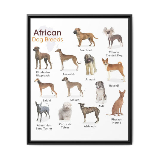 African Dog Breeds Identification Chart Poster and Canvas