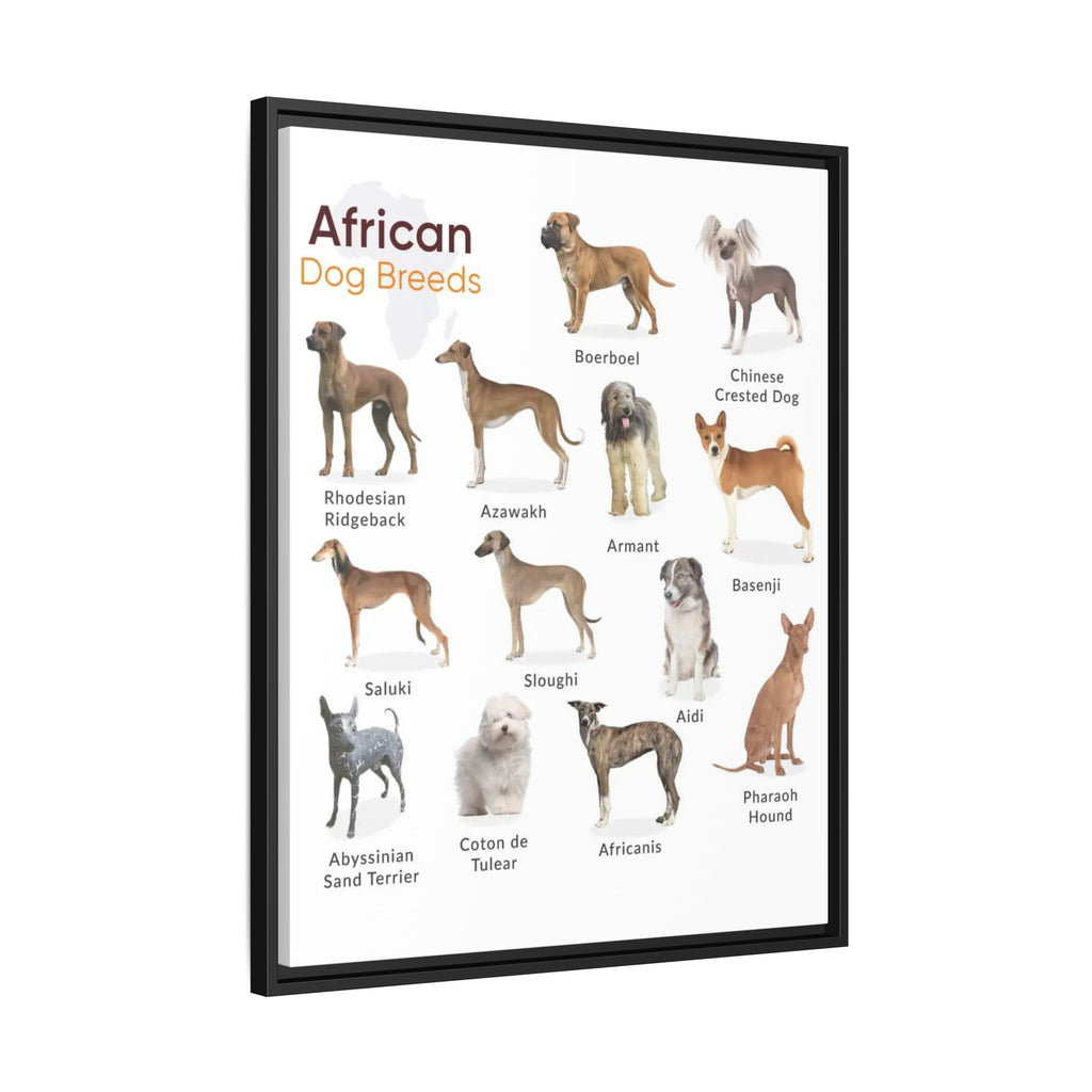 African Dog Breeds Identification Chart Poster and Canvas