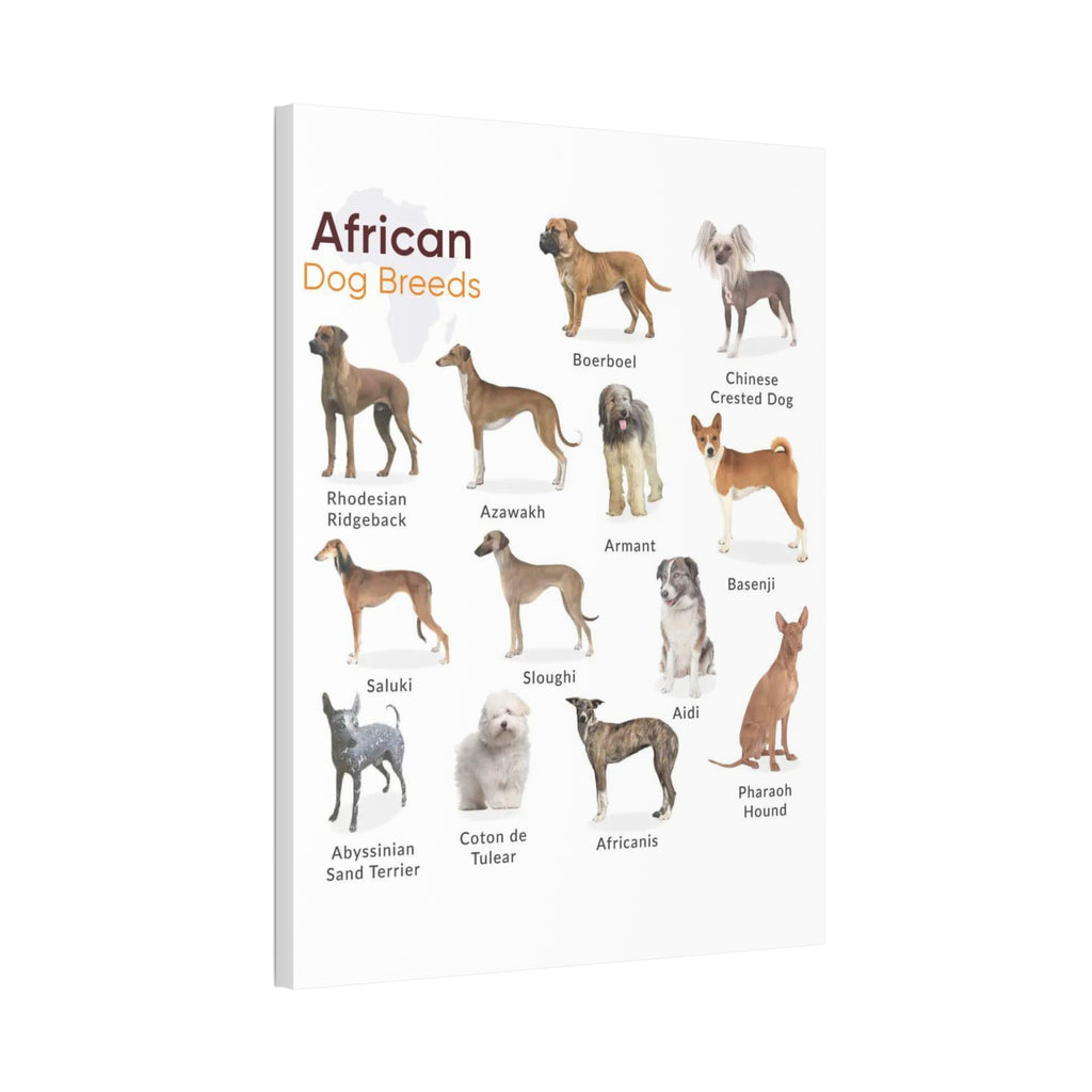 African Dog Breeds Identification Chart Poster and Canvas
