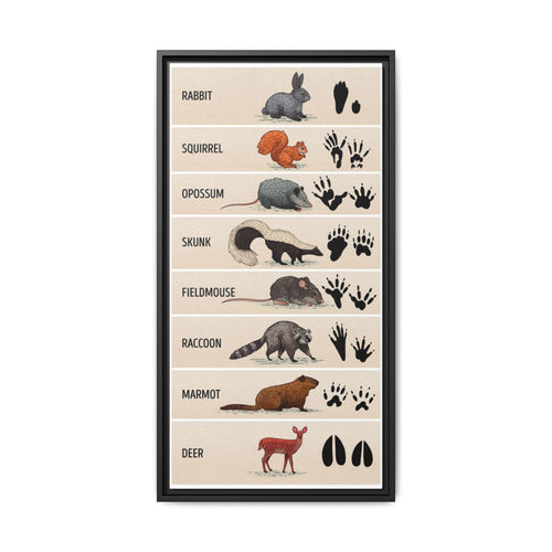 Animal Footprints Rabbit Squirrel Opossum Skunk Vertical Canvas And Poster
