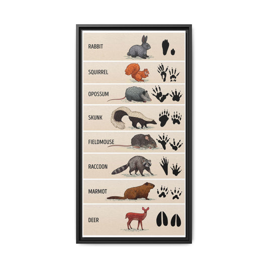Animal Footprints Rabbit Squirrel Opossum Skunk Vertical Canvas And Poster