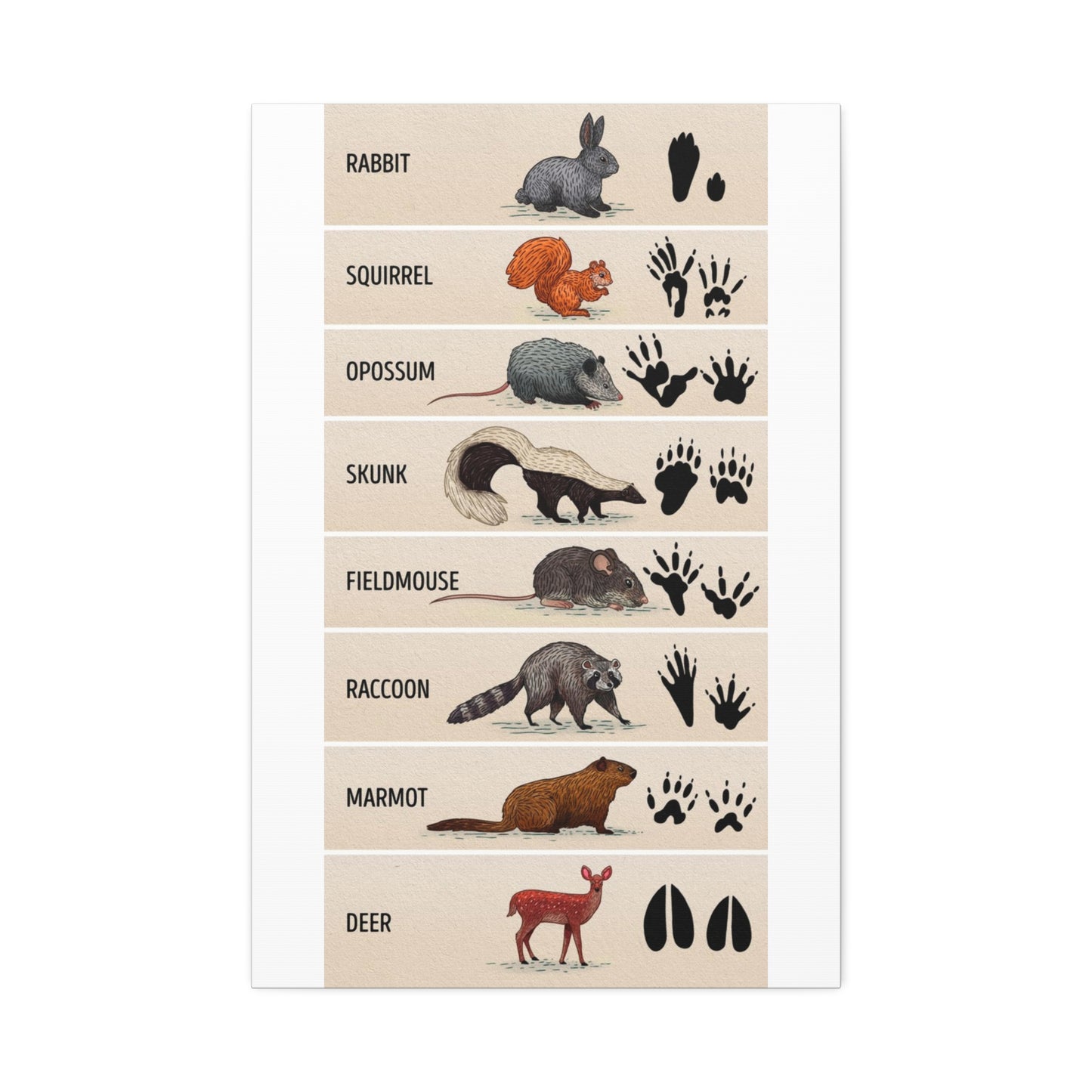 Animal Footprints Rabbit Squirrel Opossum Skunk Vertical Canvas And Poster