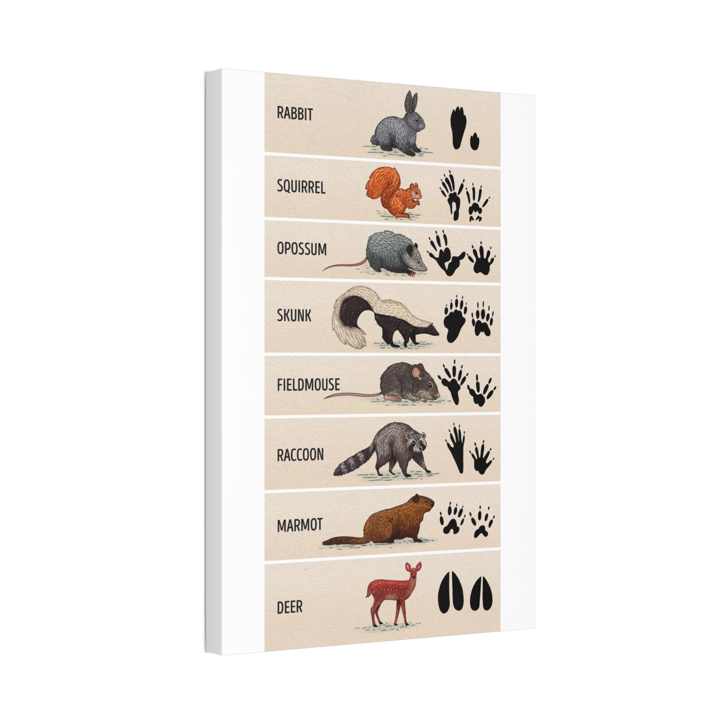 Animal Footprints Rabbit Squirrel Opossum Skunk Vertical Canvas And Poster