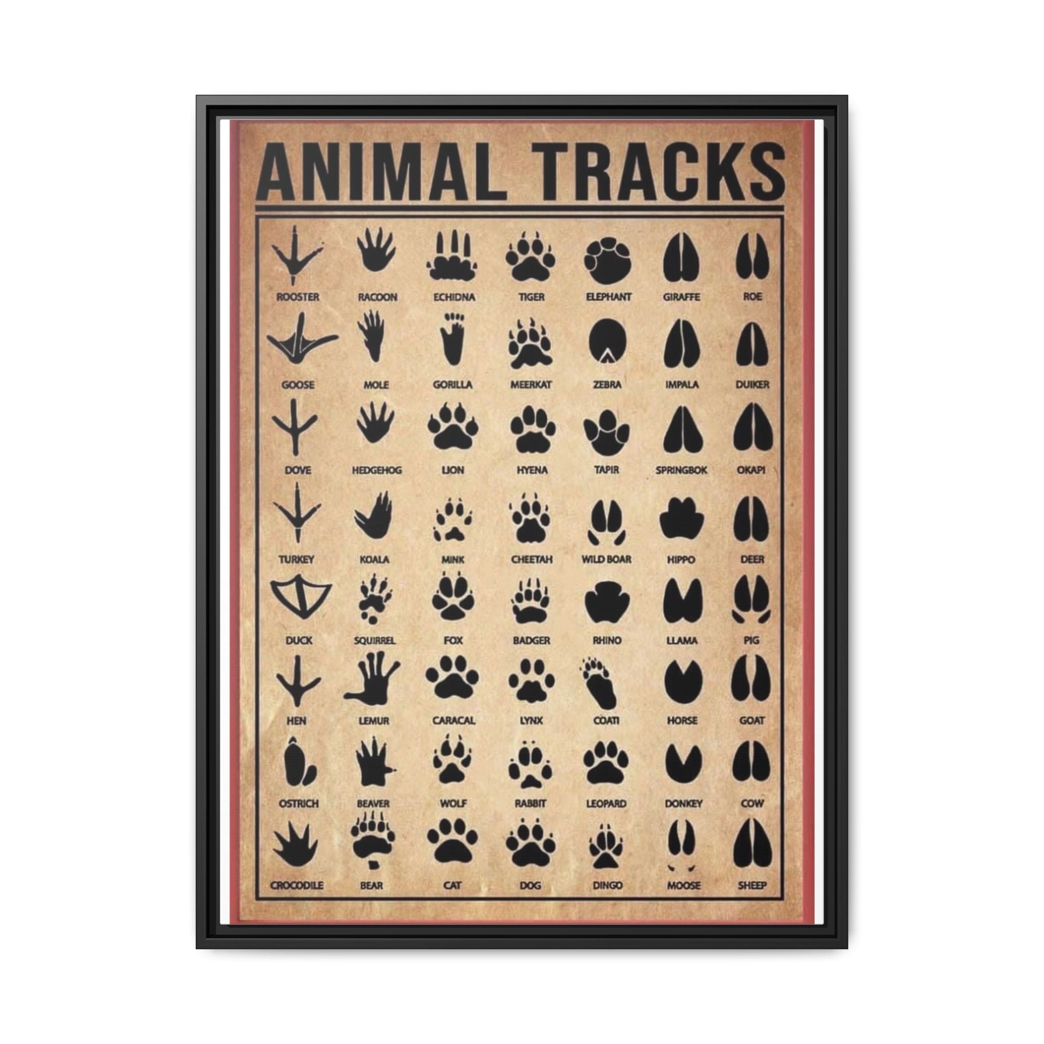 Animal Tracks Poster, Wildlife Footprint Identification Chart, Mammal and Bird Track Guide, Nature Education Wall Art Canvas Print, Hunting and Hiking Decor