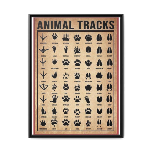 Animal Tracks Poster, Wildlife Footprint Identification Chart, Mammal and Bird Track Guide, Nature Education Wall Art Canvas Print, Hunting and Hiking Decor