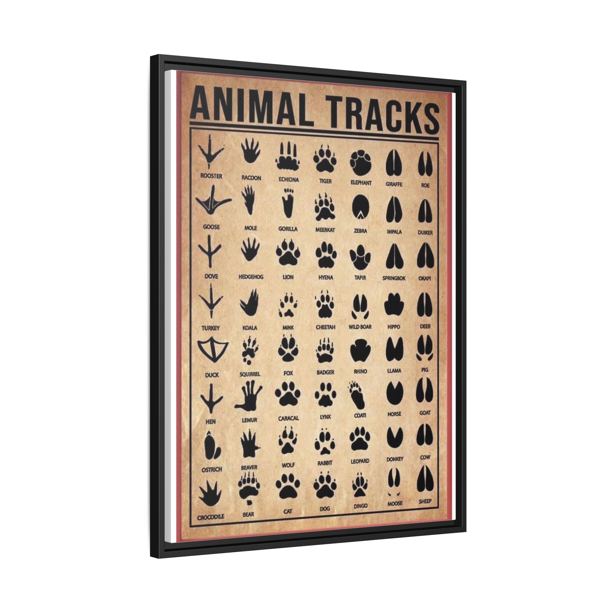 Animal Tracks Poster, Wildlife Footprint Identification Chart, Mammal and Bird Track Guide, Nature Education Wall Art Canvas Print, Hunting and Hiking Decor