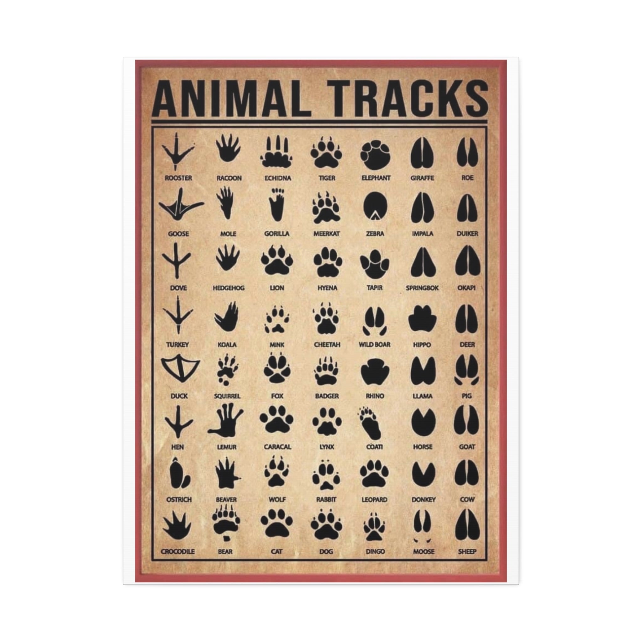 Animal Tracks Poster, Wildlife Footprint Identification Chart, Mammal and Bird Track Guide, Nature Education Wall Art Canvas Print, Hunting and Hiking Decor