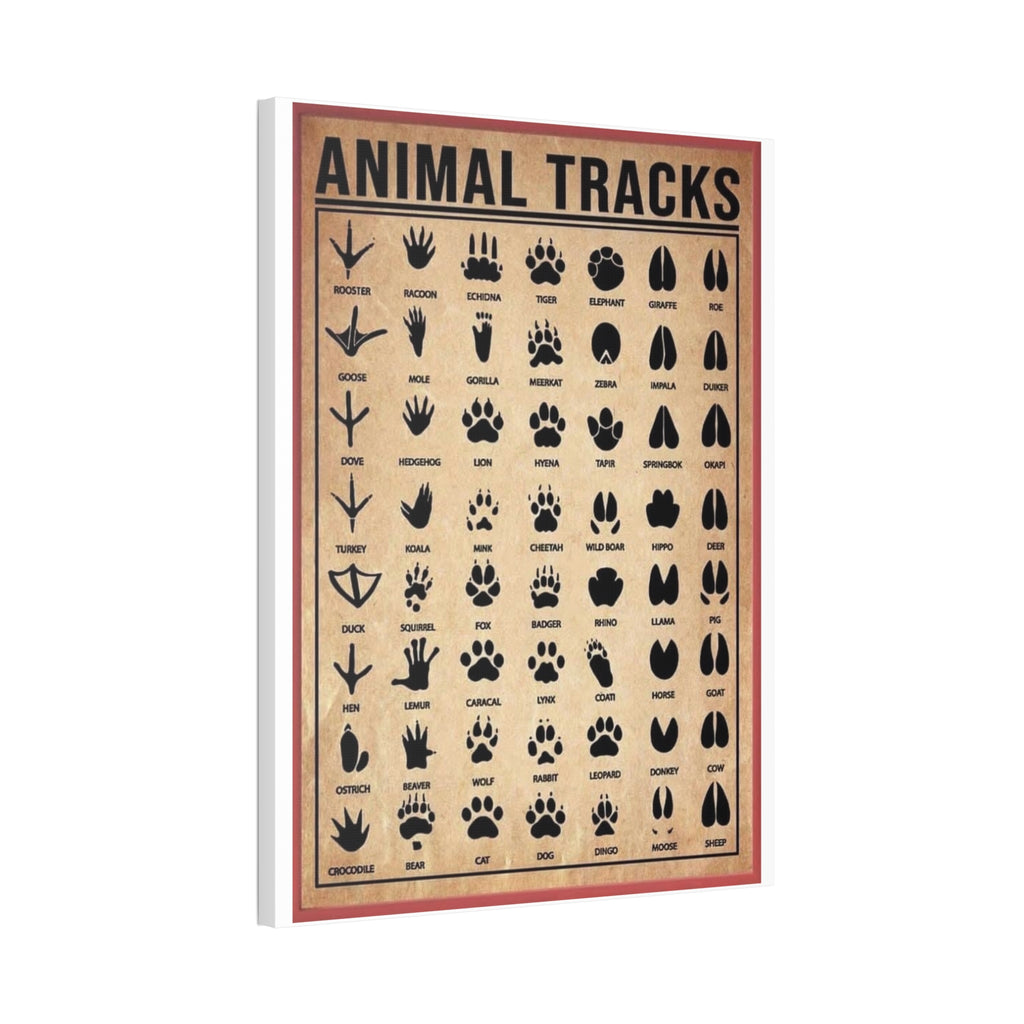 Animal Tracks Poster, Wildlife Footprint Identification Chart, Mammal and Bird Track Guide, Nature Education Wall Art Canvas Print, Hunting and Hiking Decor