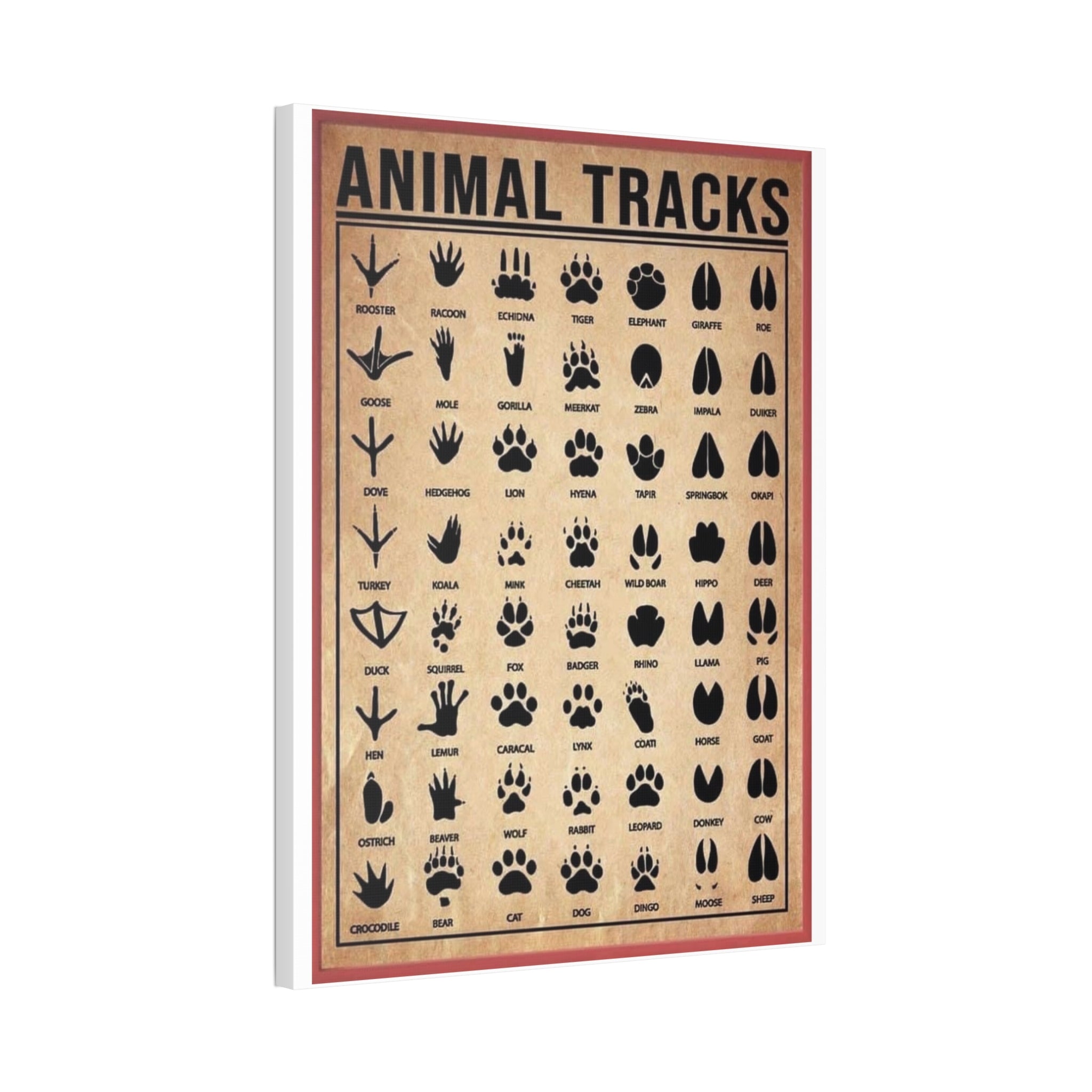 Animal Tracks Poster, Wildlife Footprint Identification Chart, Mammal and Bird Track Guide, Nature Education Wall Art Canvas Print, Hunting and Hiking Decor