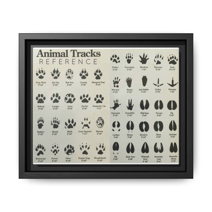 Animal Tracks Reference Poster, Animal Track Identification Guide Horizontal Poster