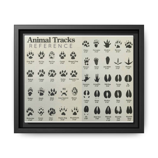 Animal Tracks Reference Poster, Animal Track Identification Guide Horizontal Poster
