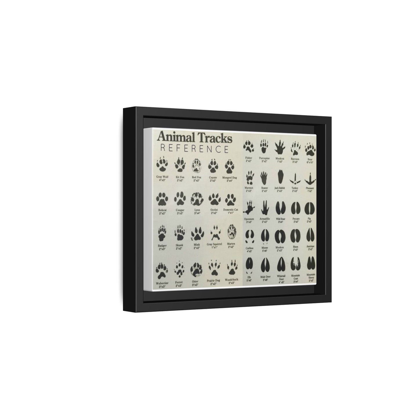 Animal Tracks Reference Poster, Animal Track Identification Guide Horizontal Poster