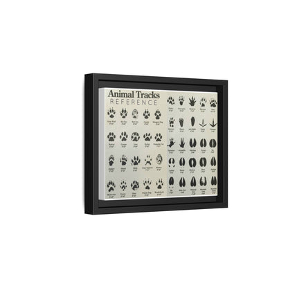 Animal Tracks Reference Poster, Animal Track Identification Guide Horizontal Poster