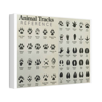 Animal Tracks Reference Poster, Animal Track Identification Guide Horizontal Poster