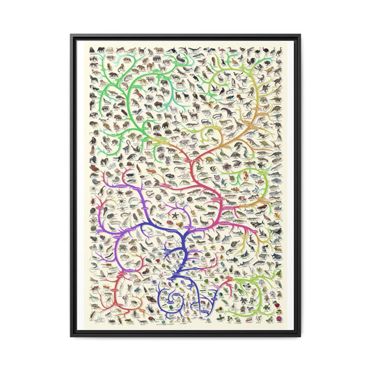 Animals Closest Relatives Poster, Evolutionary Tree of Life Chart, Animal Phylogeny and Biodiversity Educational Canvas Print