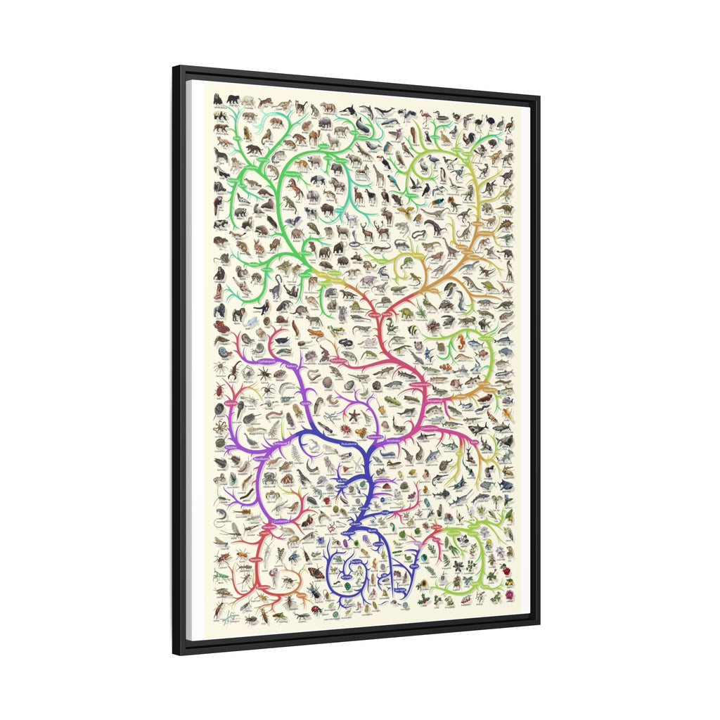 Animals Closest Relatives Poster, Evolutionary Tree of Life Chart, Animal Phylogeny and Biodiversity Educational Canvas Print