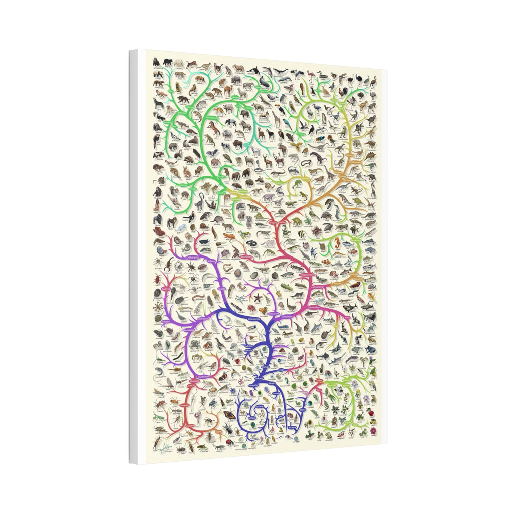 Animals Closest Relatives Poster, Evolutionary Tree of Life Chart, Animal Phylogeny and Biodiversity Educational Canvas Print