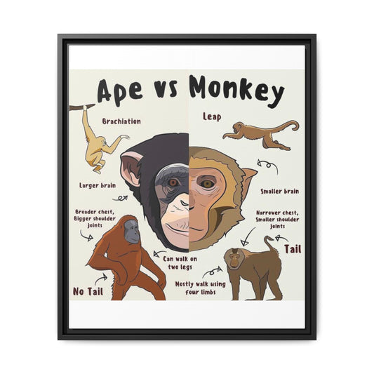 Ape vs Monkey Poster, Primate Comparison Chart, Differences Between Apes and Monkeys Educational Canvas Print