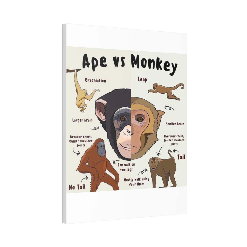 Ape vs Monkey Poster, Primate Comparison Chart, Differences Between Apes and Monkeys Educational Canvas Print