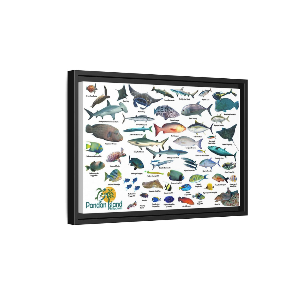 Apo Reef Philippines Fish Identification Chart Poster and Canvas