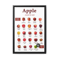 Apple Sweet to Tart Vertical Poster and Canvas
