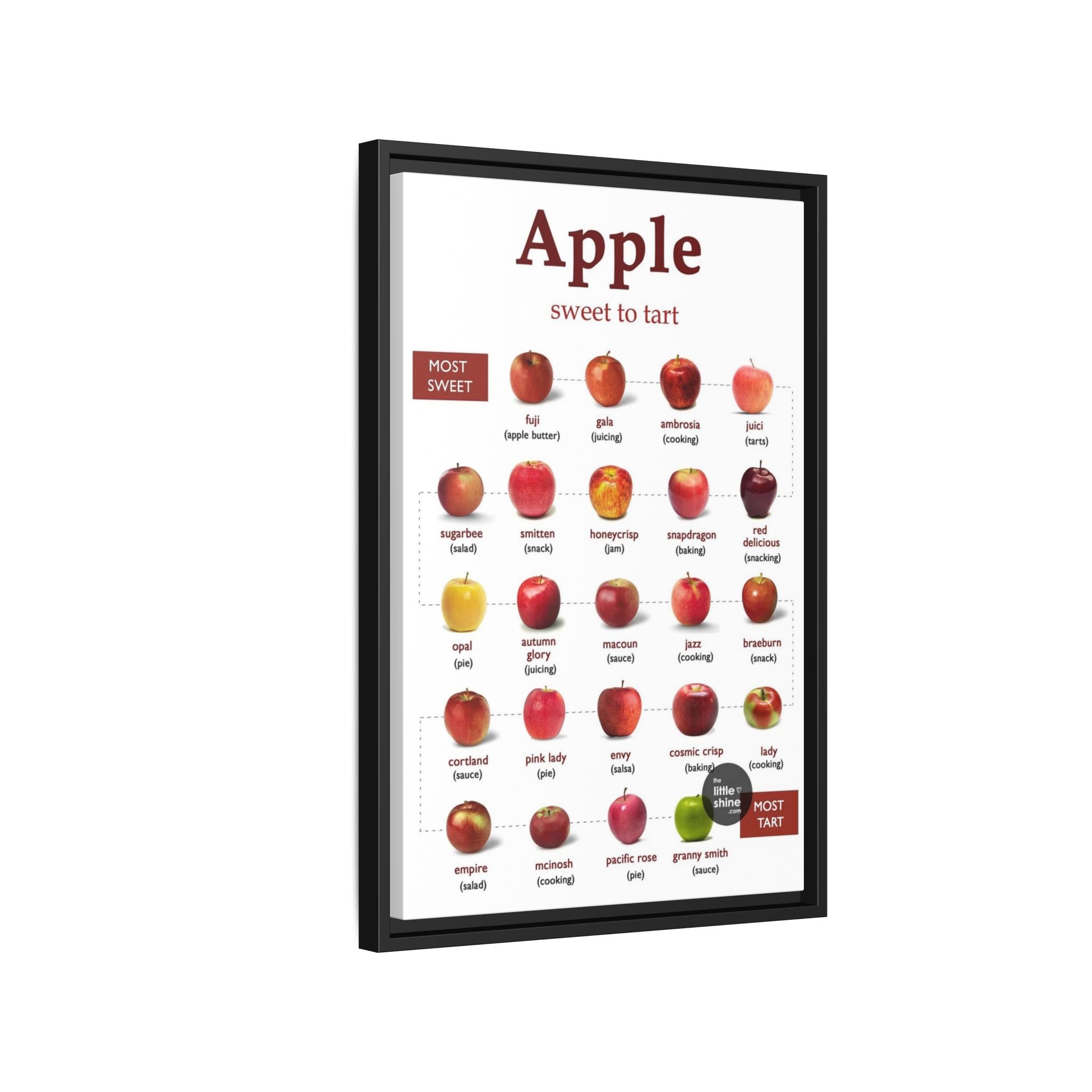 Apple Sweet to Tart Vertical Poster and Canvas