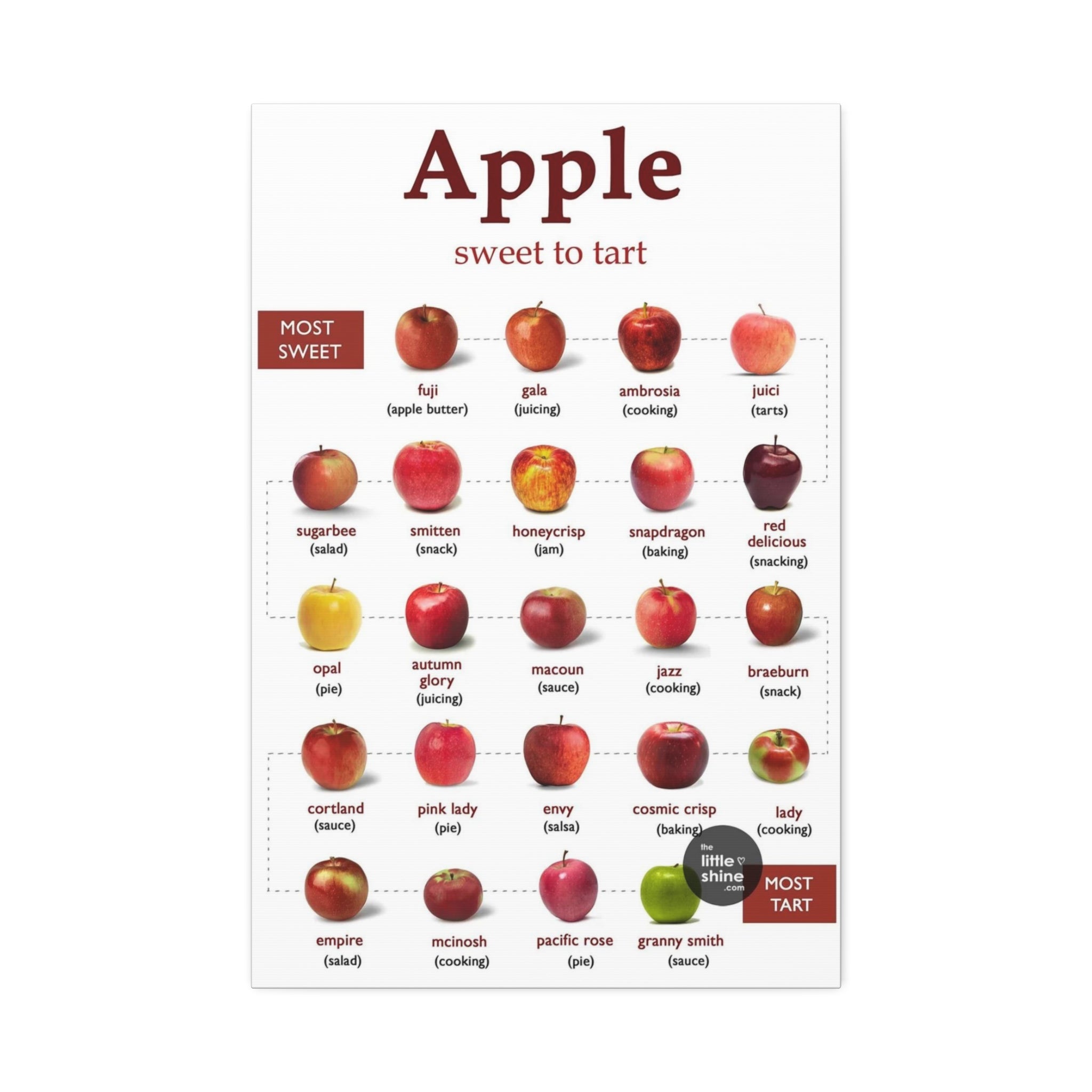 Apple Sweet to Tart Vertical Poster and Canvas