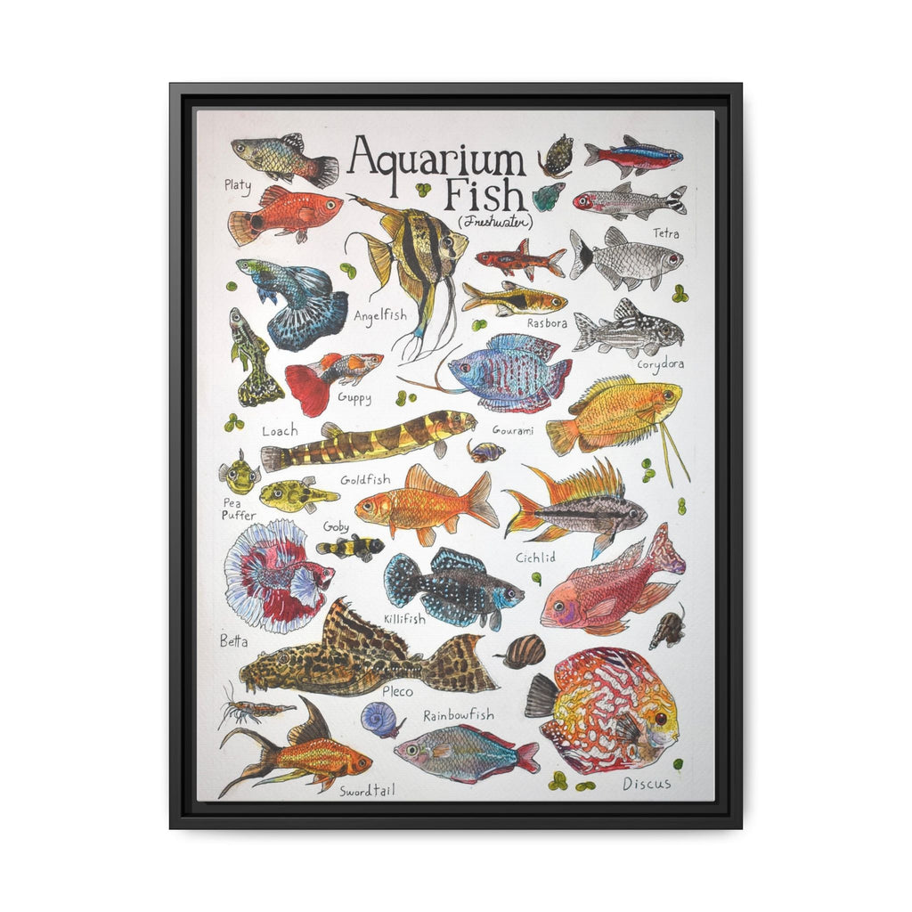 Aquarium Fish Freshwater Aquarium Fish Vertical Poster and Canvas