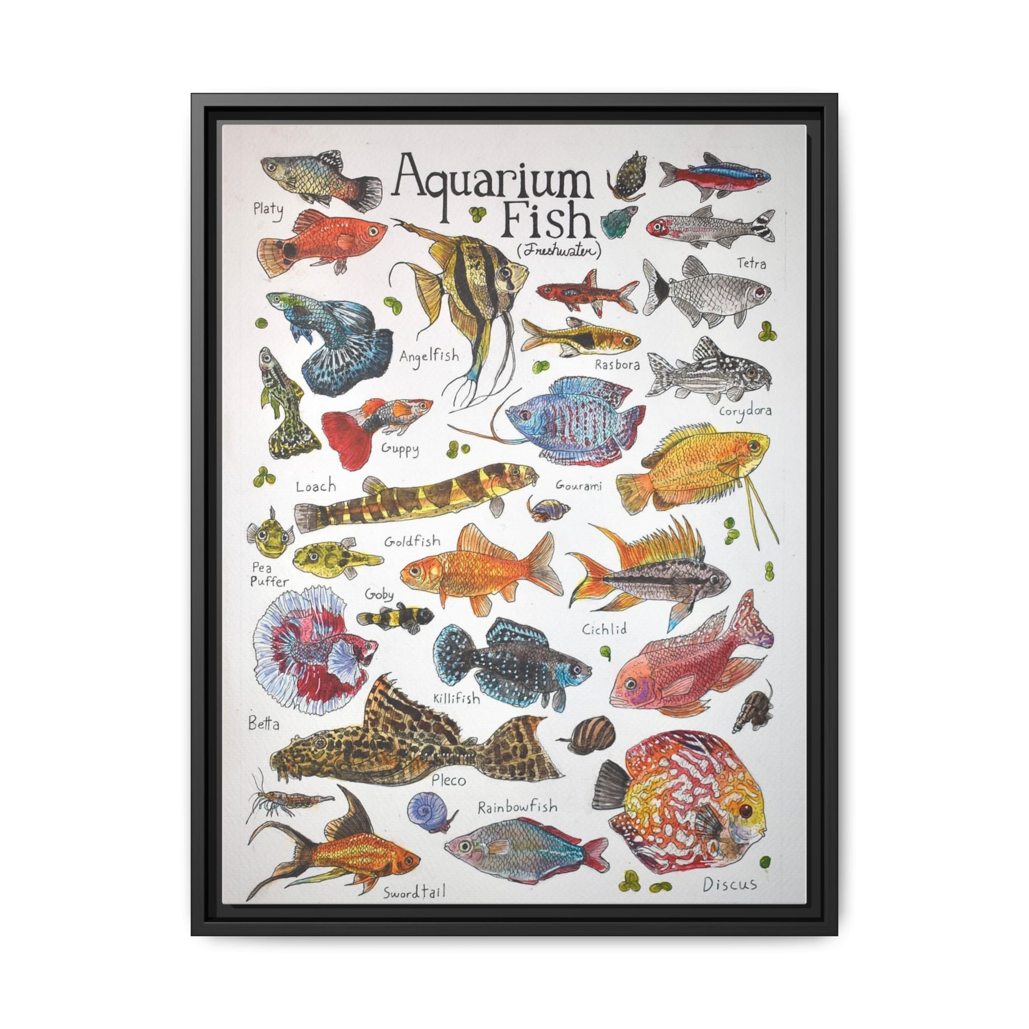 Aquarium Fish Freshwater Aquarium Fish Vertical Poster and Canvas