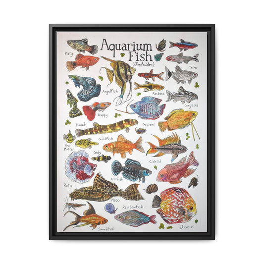 Aquarium Fish Freshwater Aquarium Fish Vertical Poster and Canvas