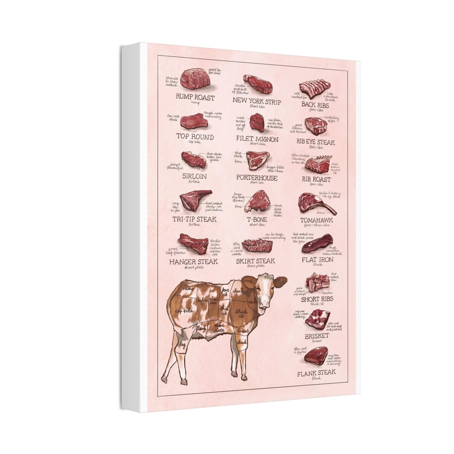 Beef Cuts Guide Poster, Steak Cuts Identification And Butcher Chart Vertical Poster