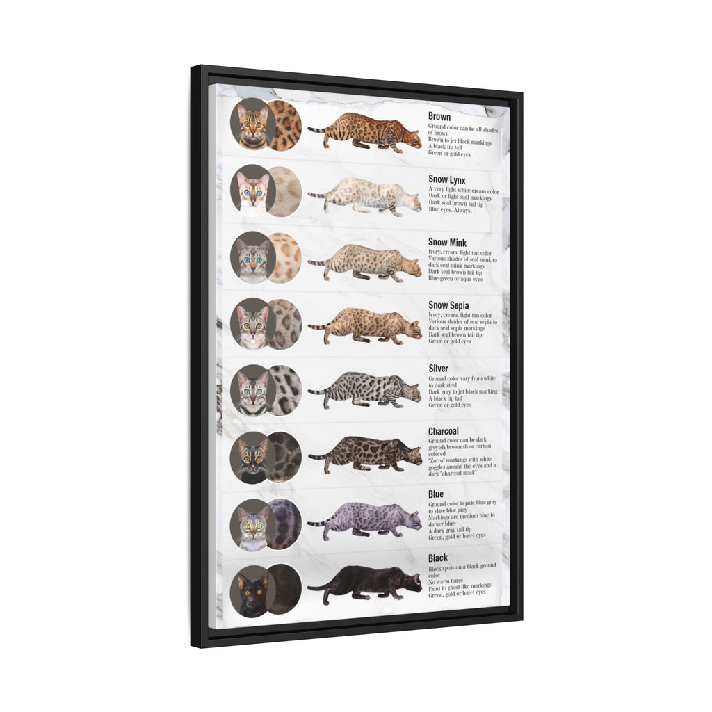 Bengal Cat Coat Colors Poster, Bengal Cat Color and Pattern Guide, Educational Cat Wall Art Canvas Print
