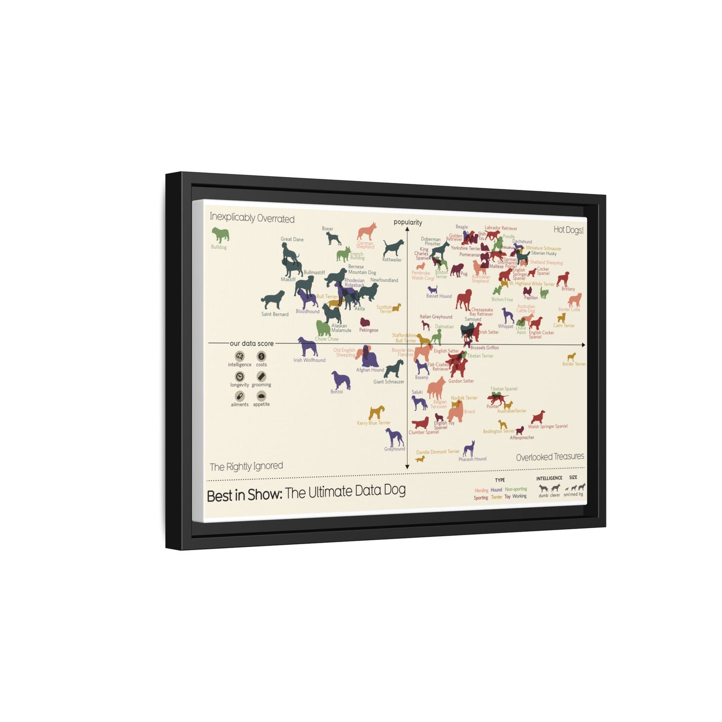 Best In Show The Ultimate Data Dog Dog Breeds Popularity Intelligence Vertical Poster