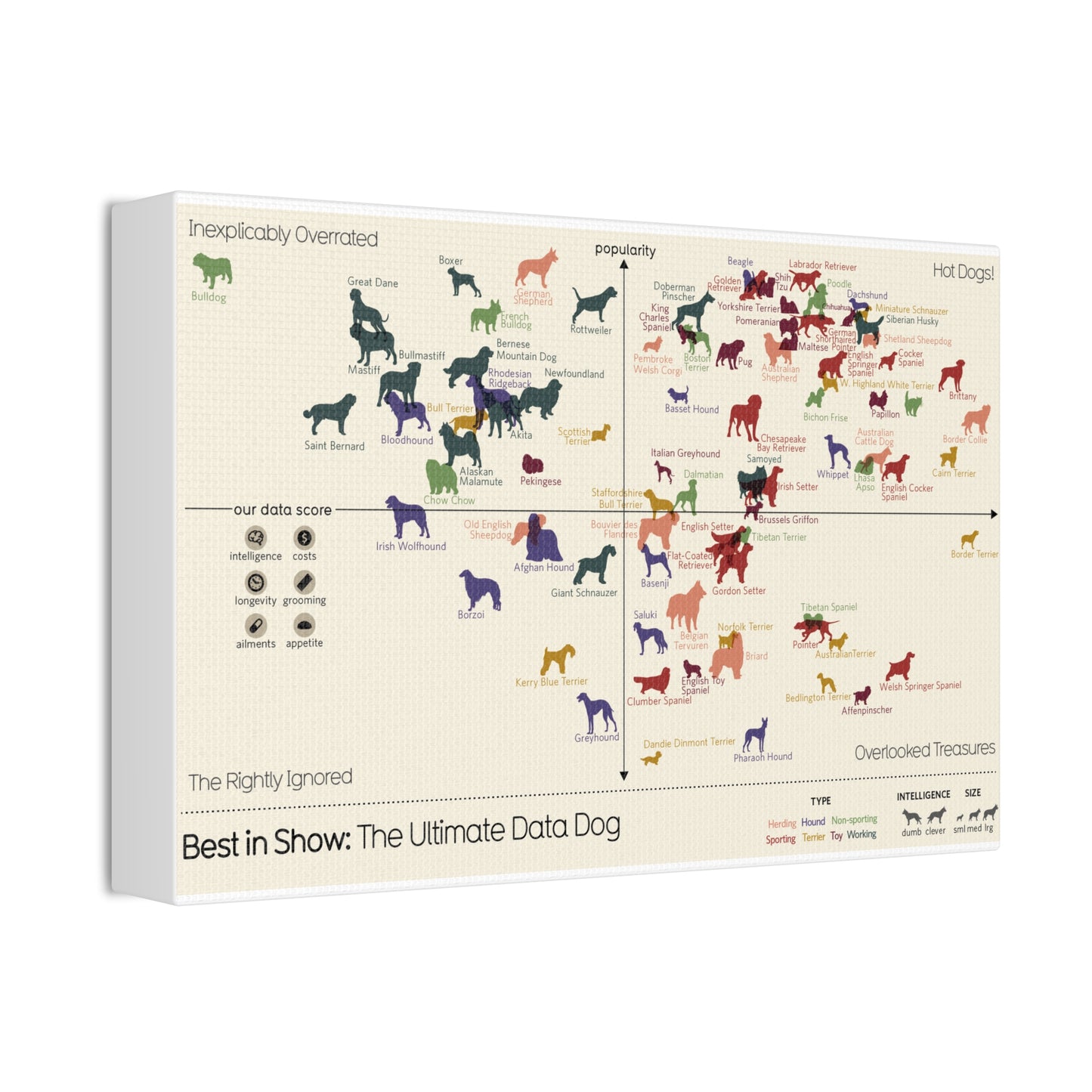 Best In Show The Ultimate Data Dog Dog Breeds Popularity Intelligence Vertical Poster