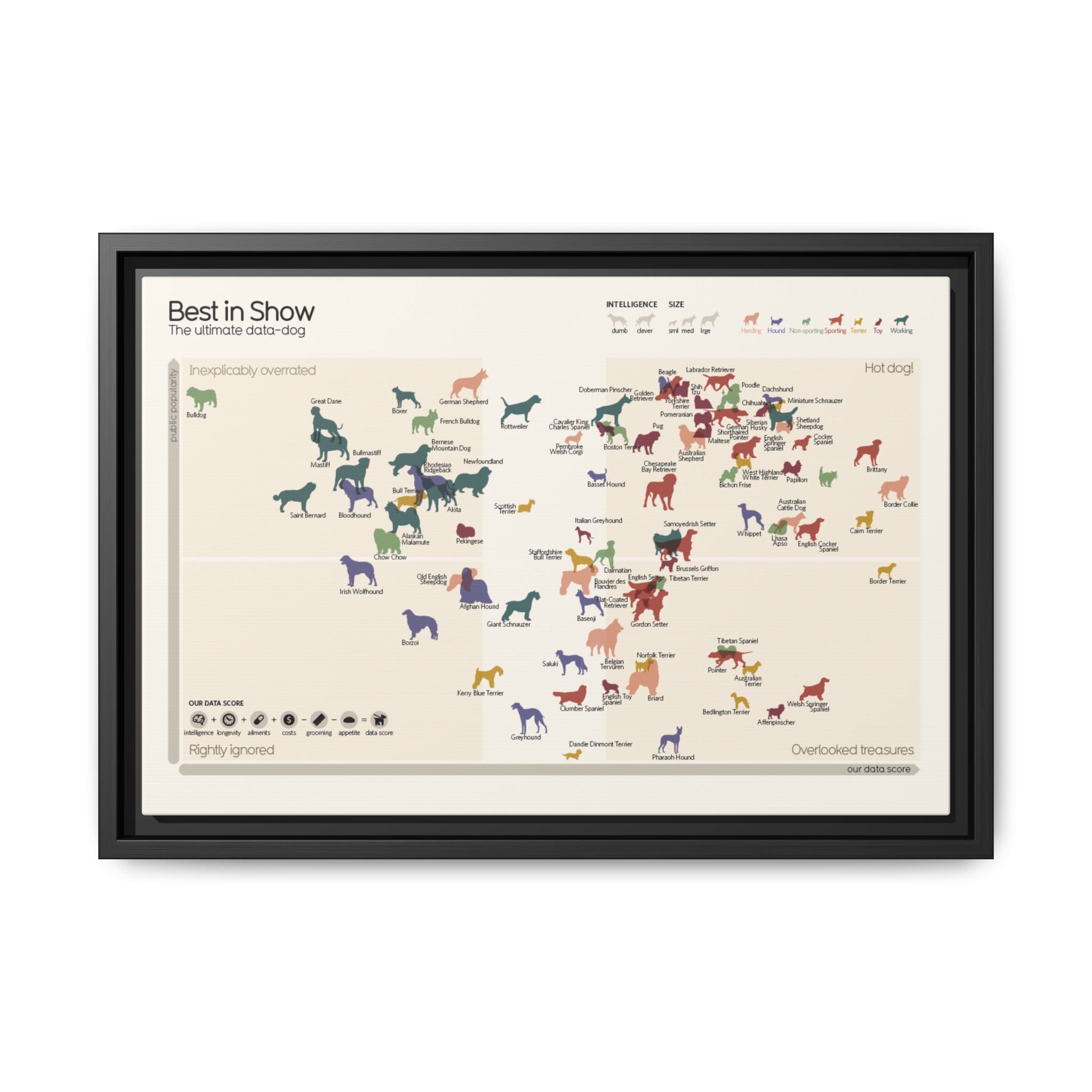 Best in Show Dog Breeds Poster, Ultimate Dog Breed Comparison Chart, Popularity and Data Score Guide, Canine Educational Canvas Print