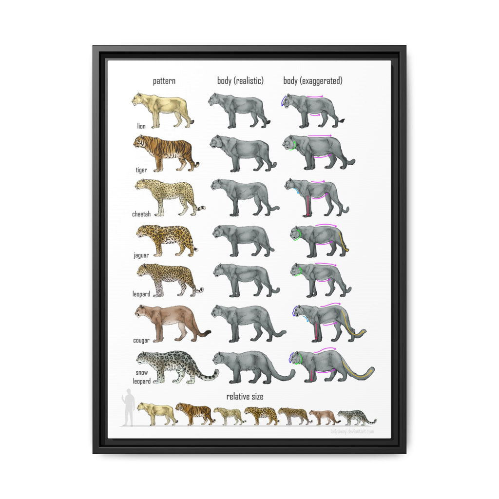 Big Cat Relative Size and Coat Pattern Poster, Lion Tiger Leopard Jaguar Cheetah Comparison Chart, Educational Wildlife Canvas Print