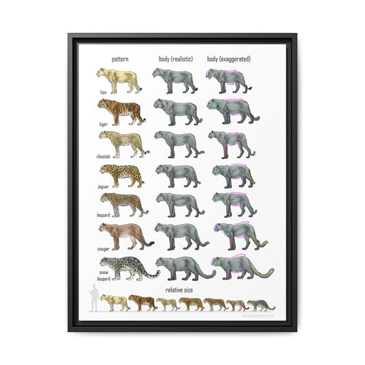 Big Cat Relative Size and Coat Pattern Poster, Lion Tiger Leopard Jaguar Cheetah Comparison Chart, Educational Wildlife Canvas Print