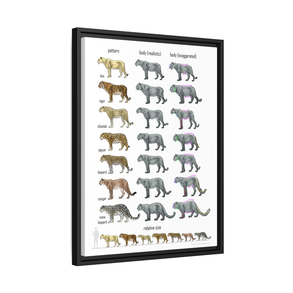 Big Cat Relative Size and Coat Pattern Poster, Lion Tiger Leopard Jaguar Cheetah Comparison Chart, Educational Wildlife Canvas Print