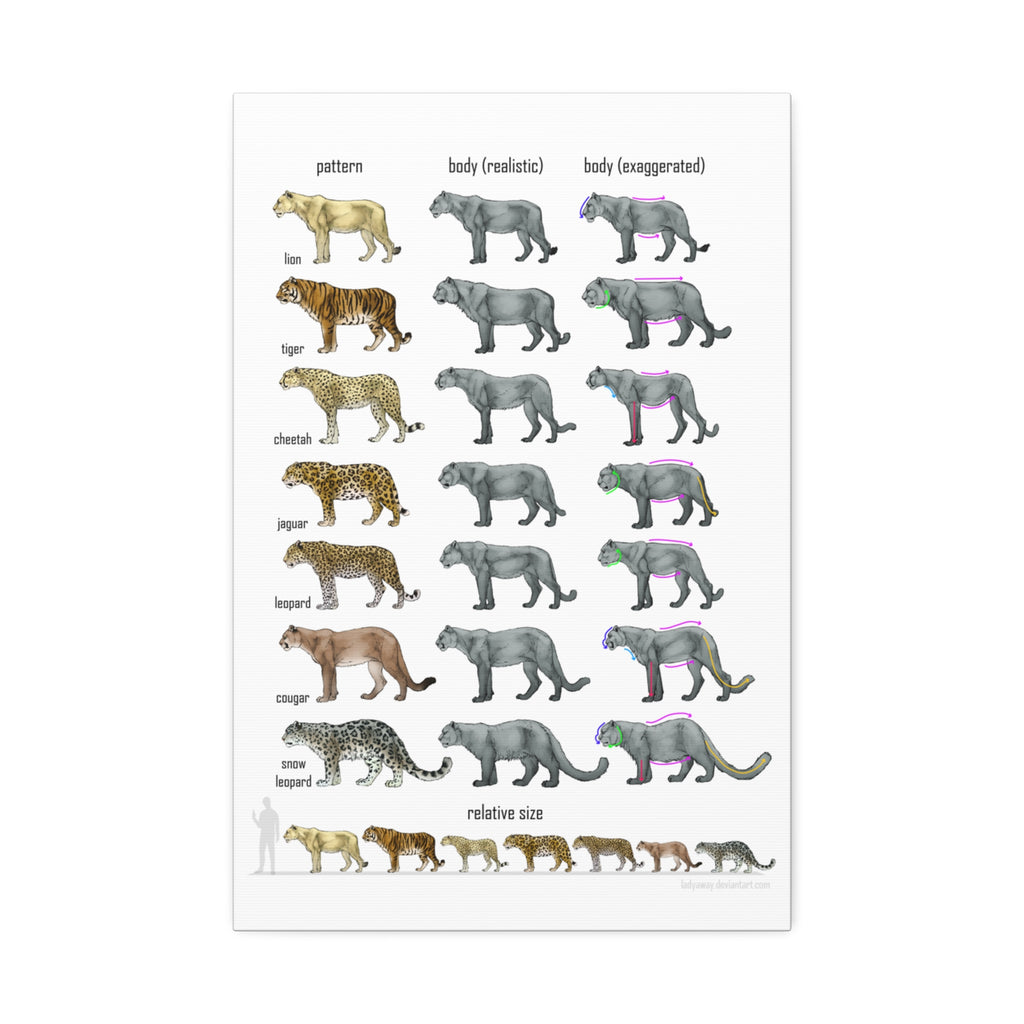 Big Cat Relative Size and Coat Pattern Poster, Lion Tiger Leopard Jaguar Cheetah Comparison Chart, Educational Wildlife Canvas Print