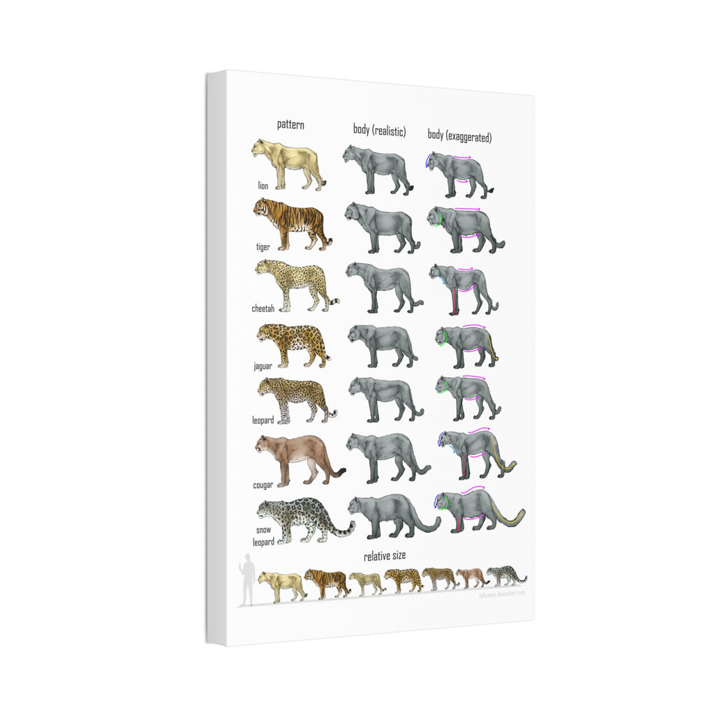Big Cat Relative Size and Coat Pattern Poster, Lion Tiger Leopard Jaguar Cheetah Comparison Chart, Educational Wildlife Canvas Print